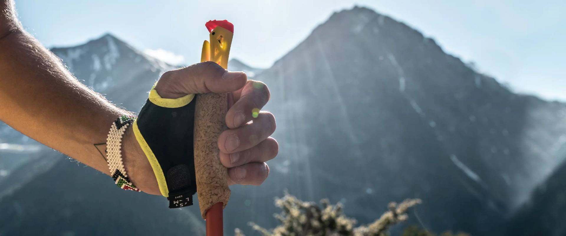 Someone holding onto leki pole in the mountains
