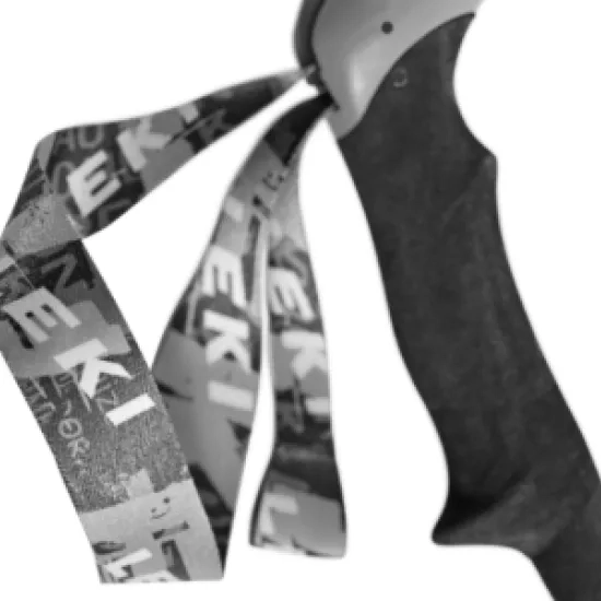 LOCK SECURITY STRAP - SKIN
